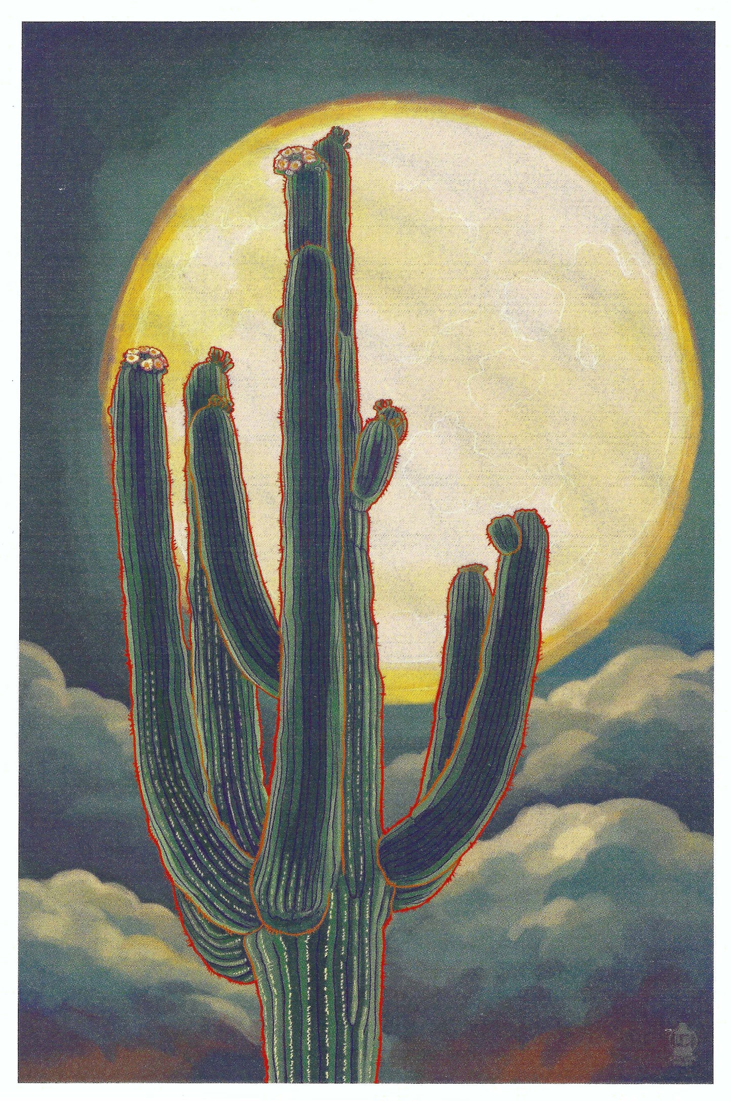 Lantern Press Postcard - Saguaro Cactus Postcard - Postcrossing Postcard - Postcards for Postcrossing