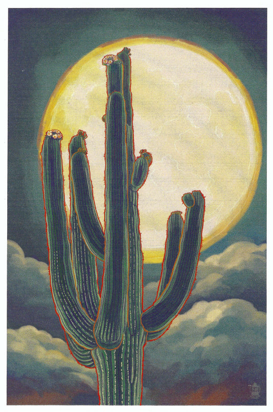 Lantern Press Postcard - Saguaro Cactus Postcard - Postcrossing Postcard - Postcards for Postcrossing