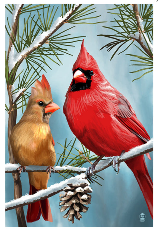 Lantern Press - Cardinals in Winter - Postcard