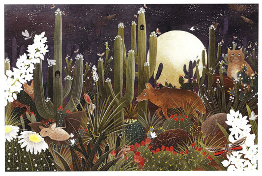 Lantern Press - Desert After Dark - Cactus - Full Moon - Wildlife - Postcard
