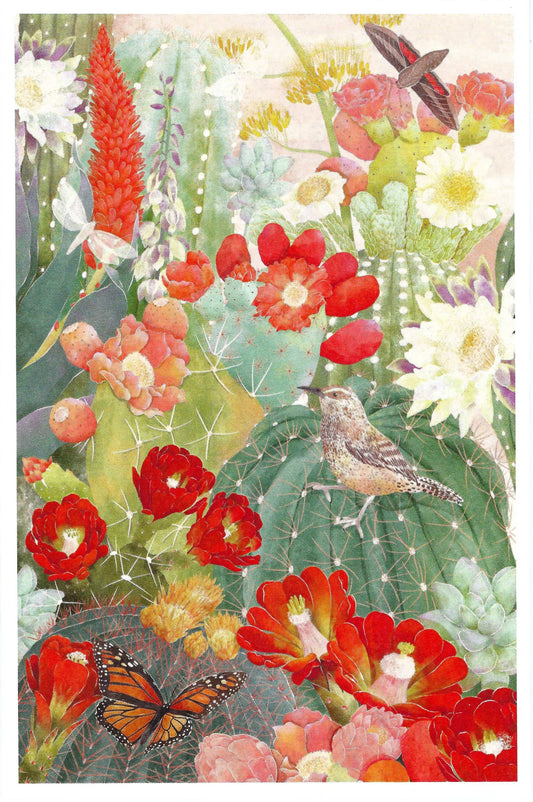 Lantern Press - Desert Blooms - Cactus - Postcard