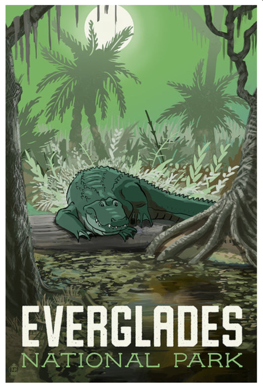 Lantern Press - Everglades National Park, Florida - Alligator in Swamp - Postcard