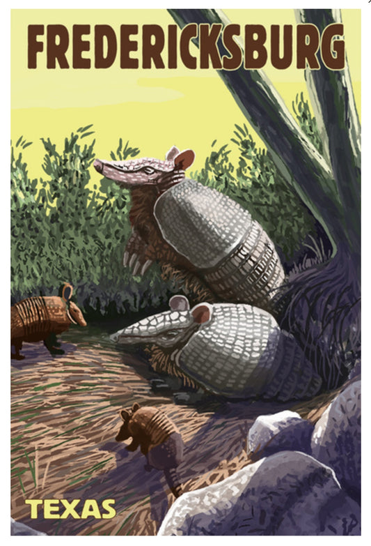 Lantern Press - Fredericksburg Texas - Armadillo - Postcard