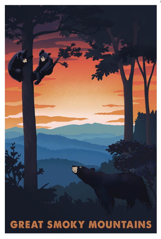Lantern Press - Great Smoky Mountains - Black Bear Family - Sunset - Postcard