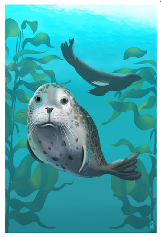 Lantern Press - Harbor Seals - Postcard