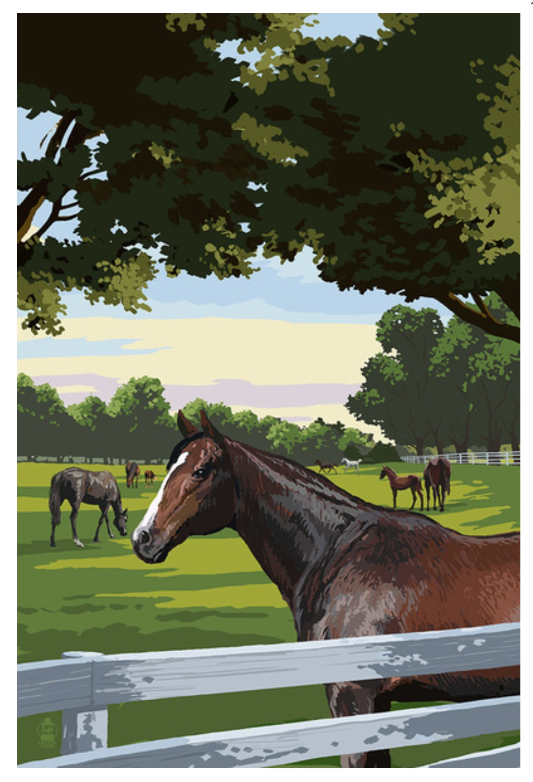 Lantern Press - Horses - Horse Pasture - Postcard