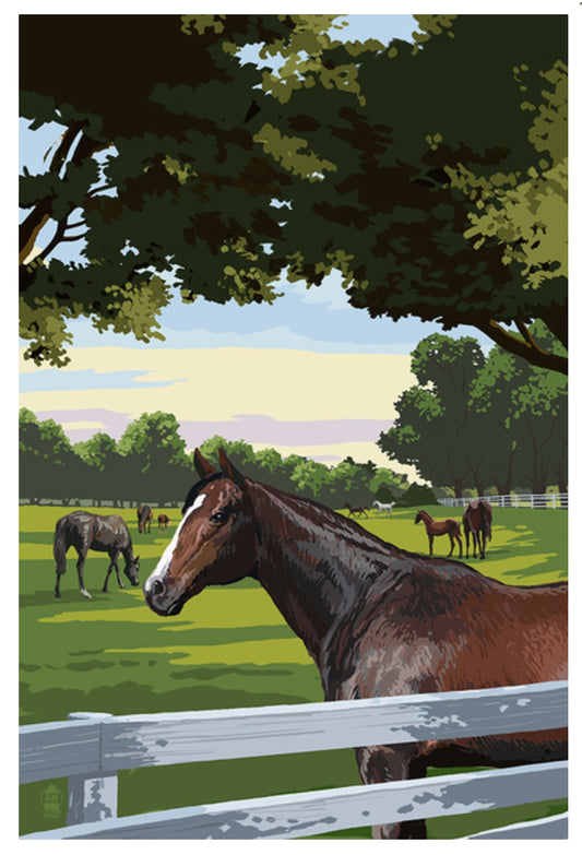 Lantern Press - Horses - Horse Pasture - Postcard