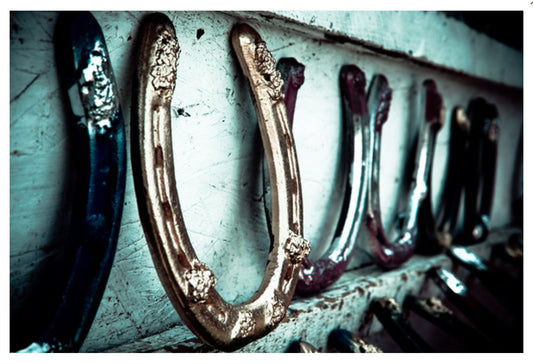 Lantern Press - Lucky Horseshoes - Postcard
