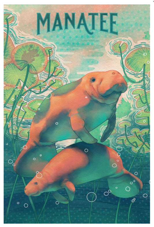 Lantern Press - Manatee - Postcard
