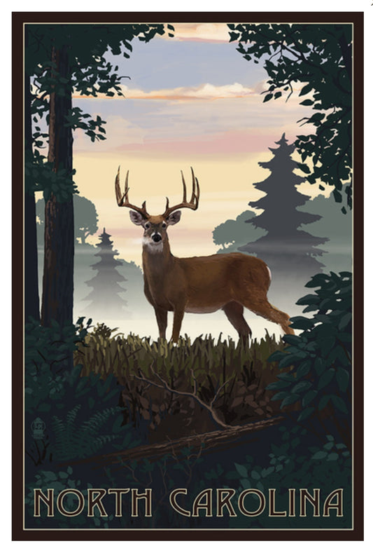 Lantern Press - North Carolina - Deer and Sunrise - Postcard