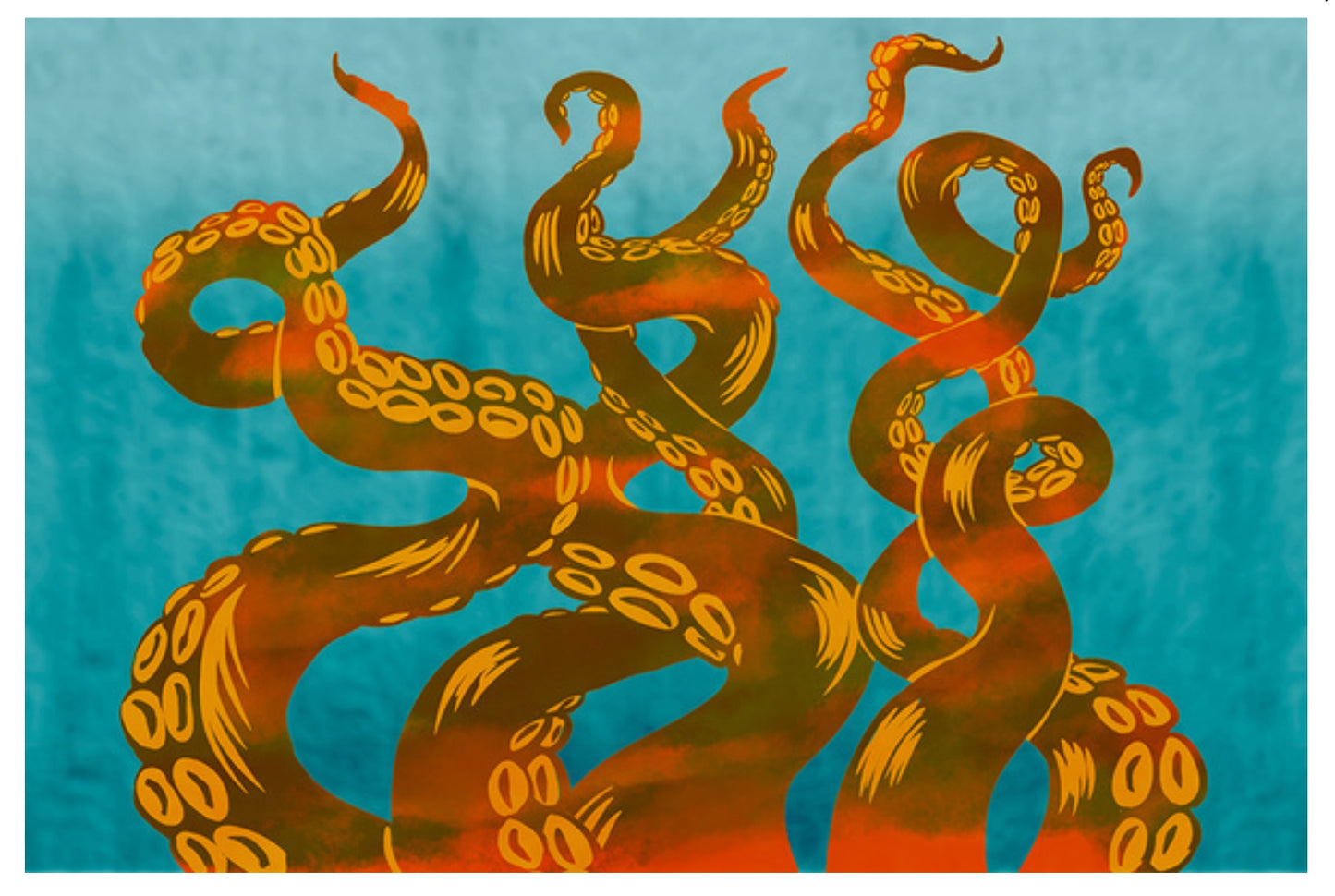 Lantern Press - Octopus Tentacles - Postcard