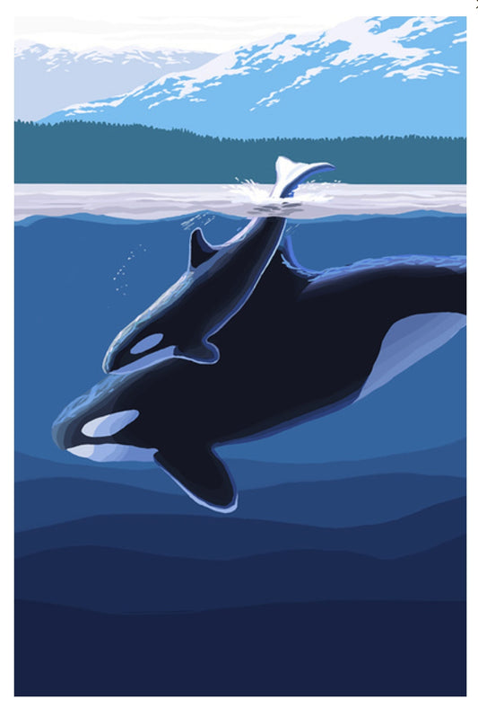 Orca Whale Postcard - Lantern Press - Orca and Calf diving