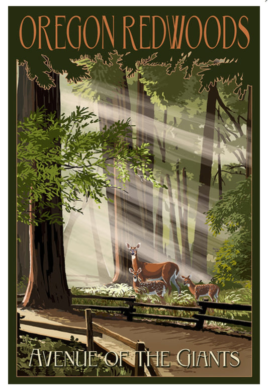 Lantern Press - Oregon Redwoods - Avenue of the Giants - Deer and Fawn - Postcard