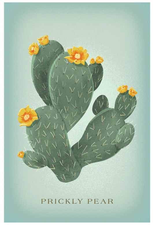 Lantern Press - Prickly Pear with Yellow Flowers - Vintage Flora - Postcard
