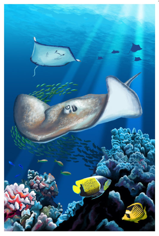 Lantern Press - Rays and Reef - Postcard