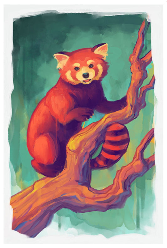Lantern Press - Red Panda - Postcard