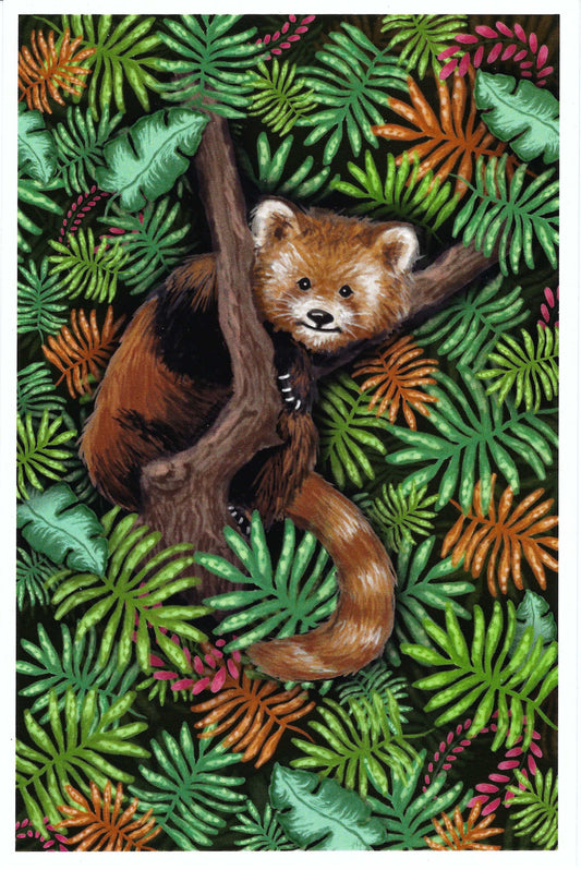 Lantern Press Postcard - Red Panda & Jungle Foliage