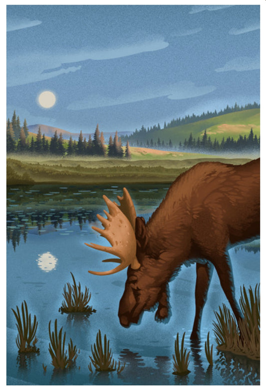Lantern Press - Reflection Pond & Bull Moose - Postcard