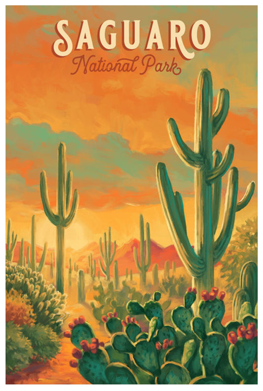 Lantern Press - Saguaro National Park - Arizona - National Park Series - Postcard