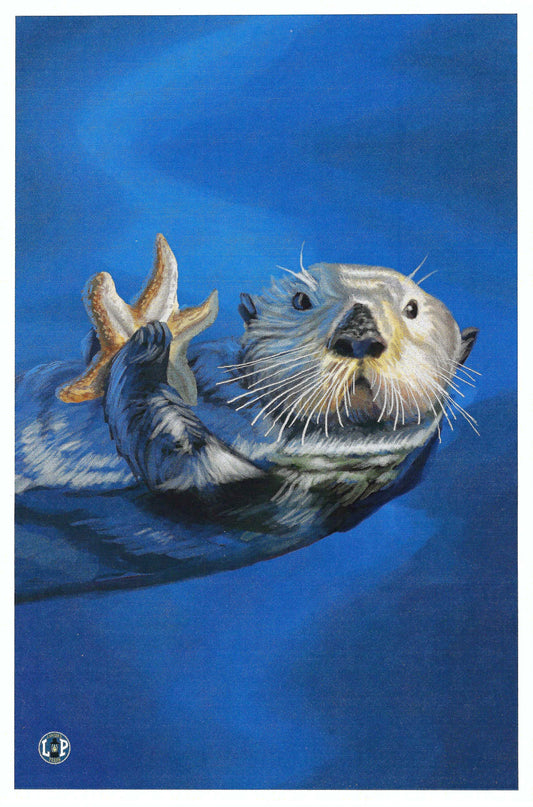 Lantern Press - Sea Otter -  Postcard