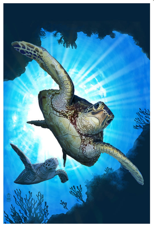 Lantern Press - Sea Turtles Diving - Postcard