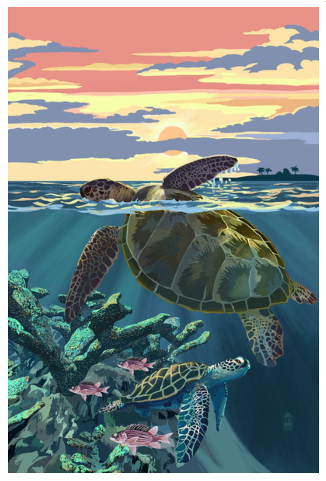 Lantern Press - Sea Turtles & Sunset - Postcard