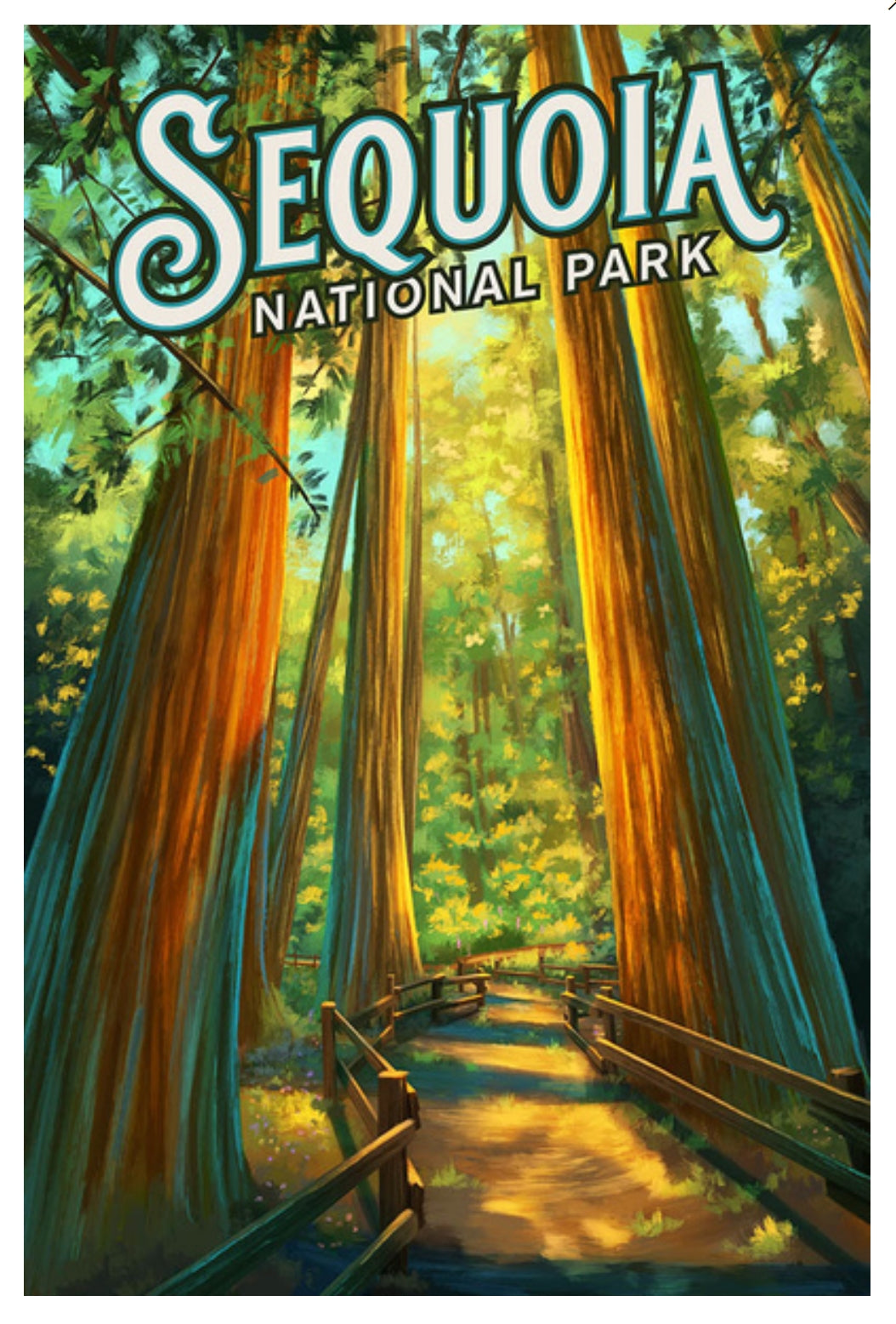 Lantern Press - Sequoia National Park - California - Postcard