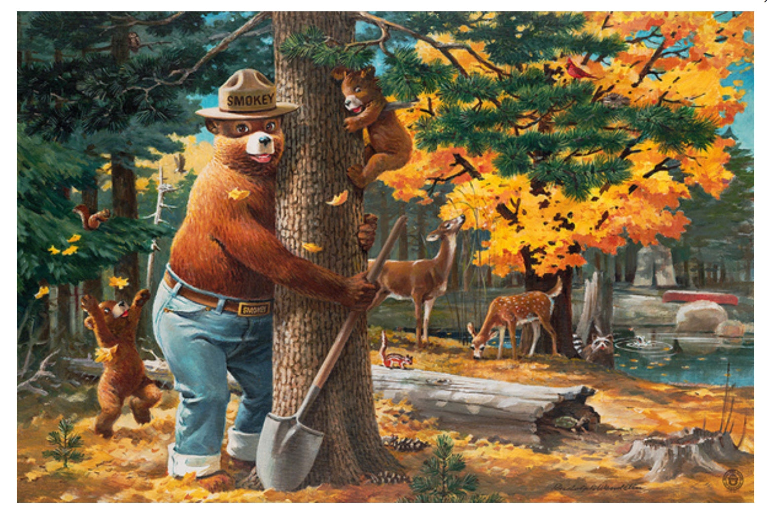 Smokey the Bear Postcard - Lantern Press - Autumn - Fall