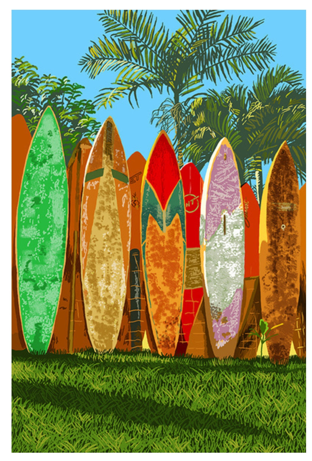 Lantern Press - Surfboards - Palm Trees - Postcard
