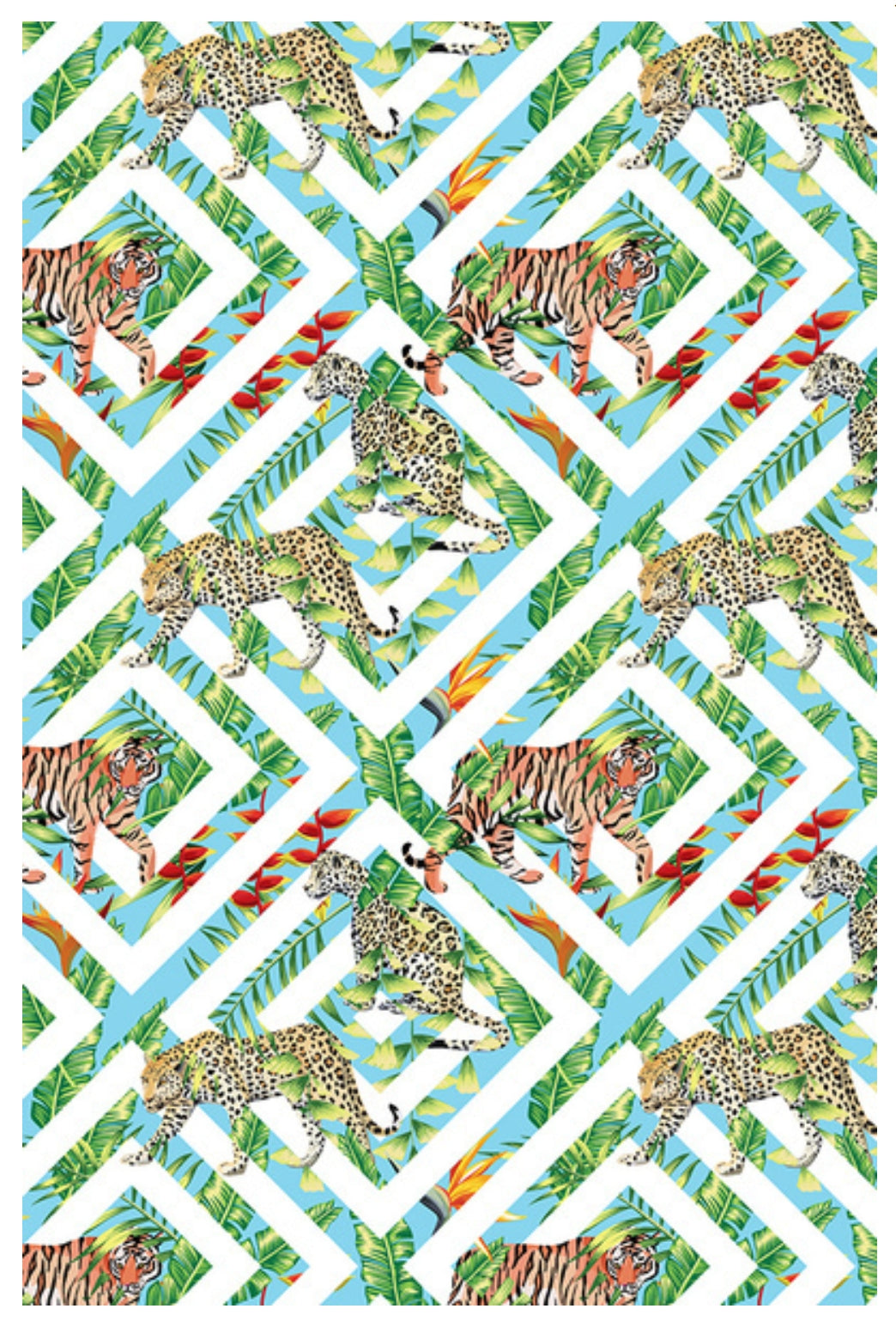 Lantern Press - Tiger and Jaguar - Postcard