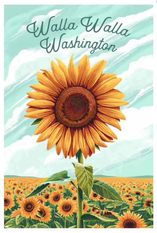 Lantern Press - Walla Walla - Washington - Sunflower - Sunflower Field - Postcard