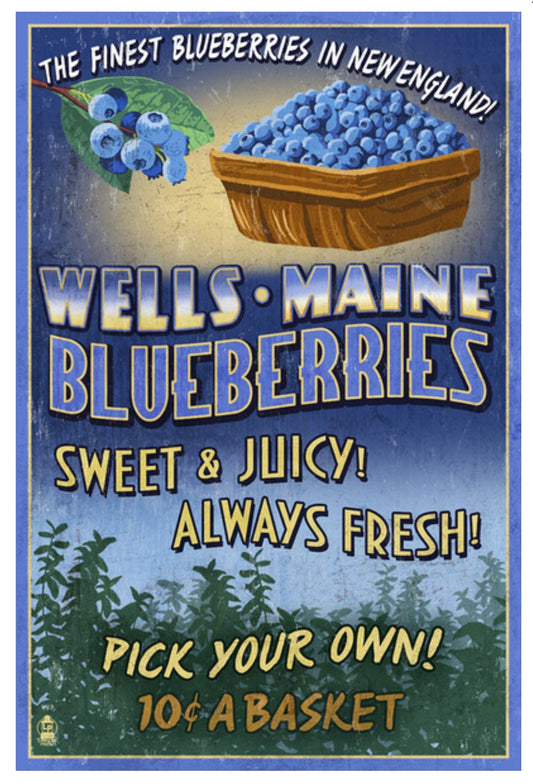 Lantern Press - Wells, Maine - Blueberry Vintage Sign - Blueberries - Postcard