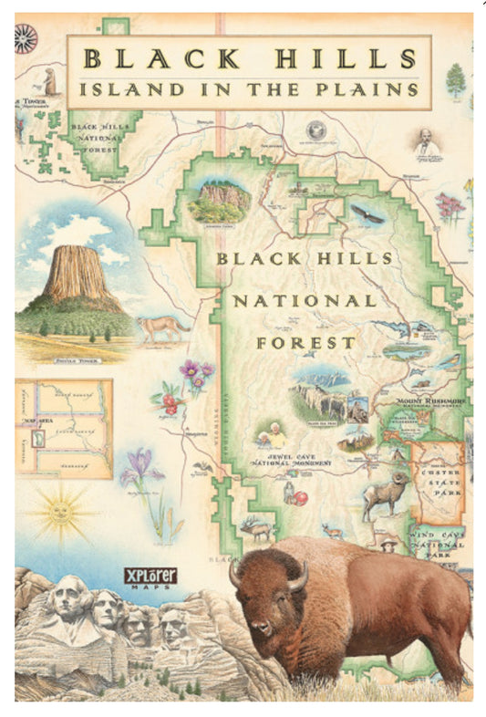 Lantern Press - Xplorer Maps - Black Hills - National Forest - Mount Rushmore - South Dakota - Postcard