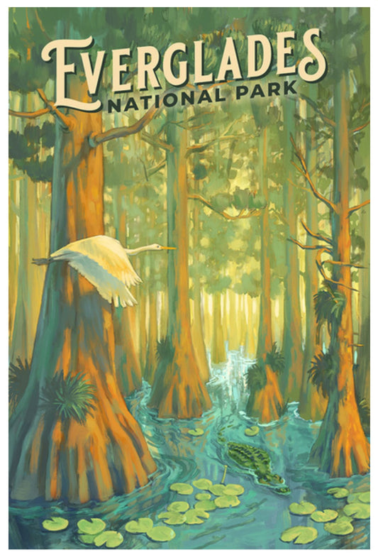 Lantern Press Postcard featuring an illustration of Everglades National Park in Florida with trees, water, alligator and a bird.