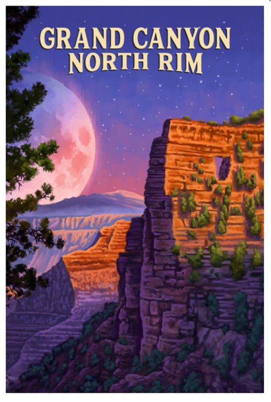 Lantern Press Postcard - Grand Canyon - North Rim, Arizona