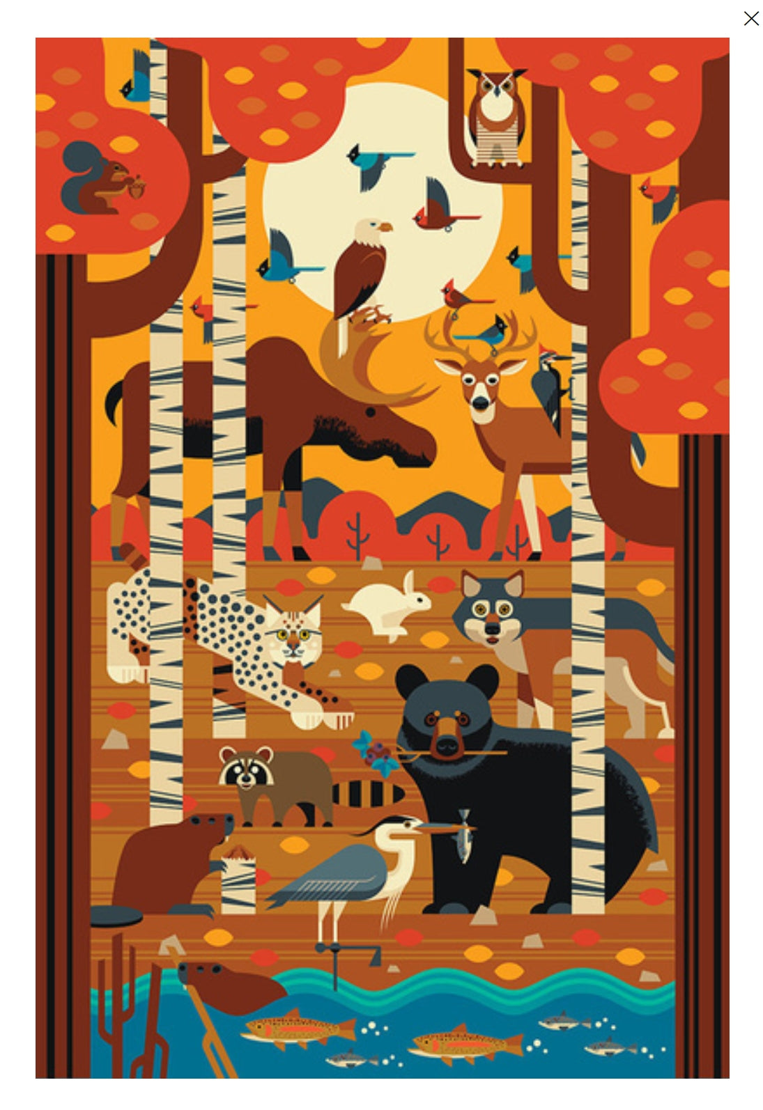 Lantern Press Postcard with illustration of various animals in a forest setting with trees and water.