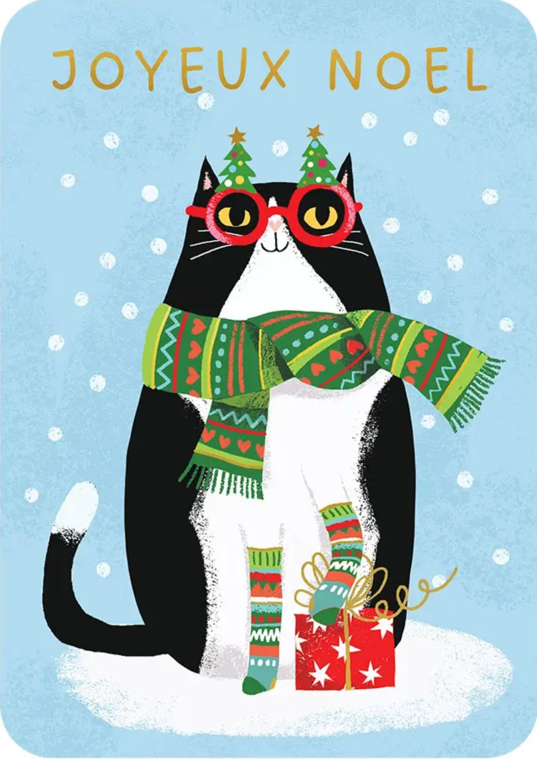 Merry Christmas Cat Postcard by Cartes d'Art showing a black-and-white cat wearing red holiday glasses, a green patterned scarf, matching socks, and a red gift box, with the words “JOYEUX NOEL” at the top on a light blue snowy background.