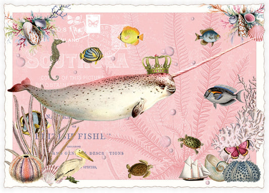 Narwhal Postcard by Edition Tausendschön