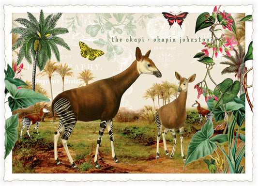 Okapi Postcard by Edition Tausendschön in a natural setting with plants and butterflies.