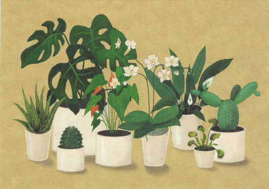 PANKA - Potted Plants - Postcard