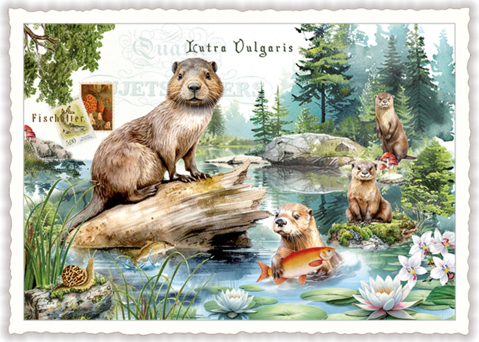 Otter Postcard by Edition Tausendschön featuring an illustration of otters in a forest setting with trees and water.