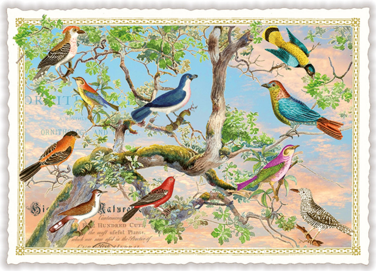 Bird Tree Postcard by Edition Tausendschön