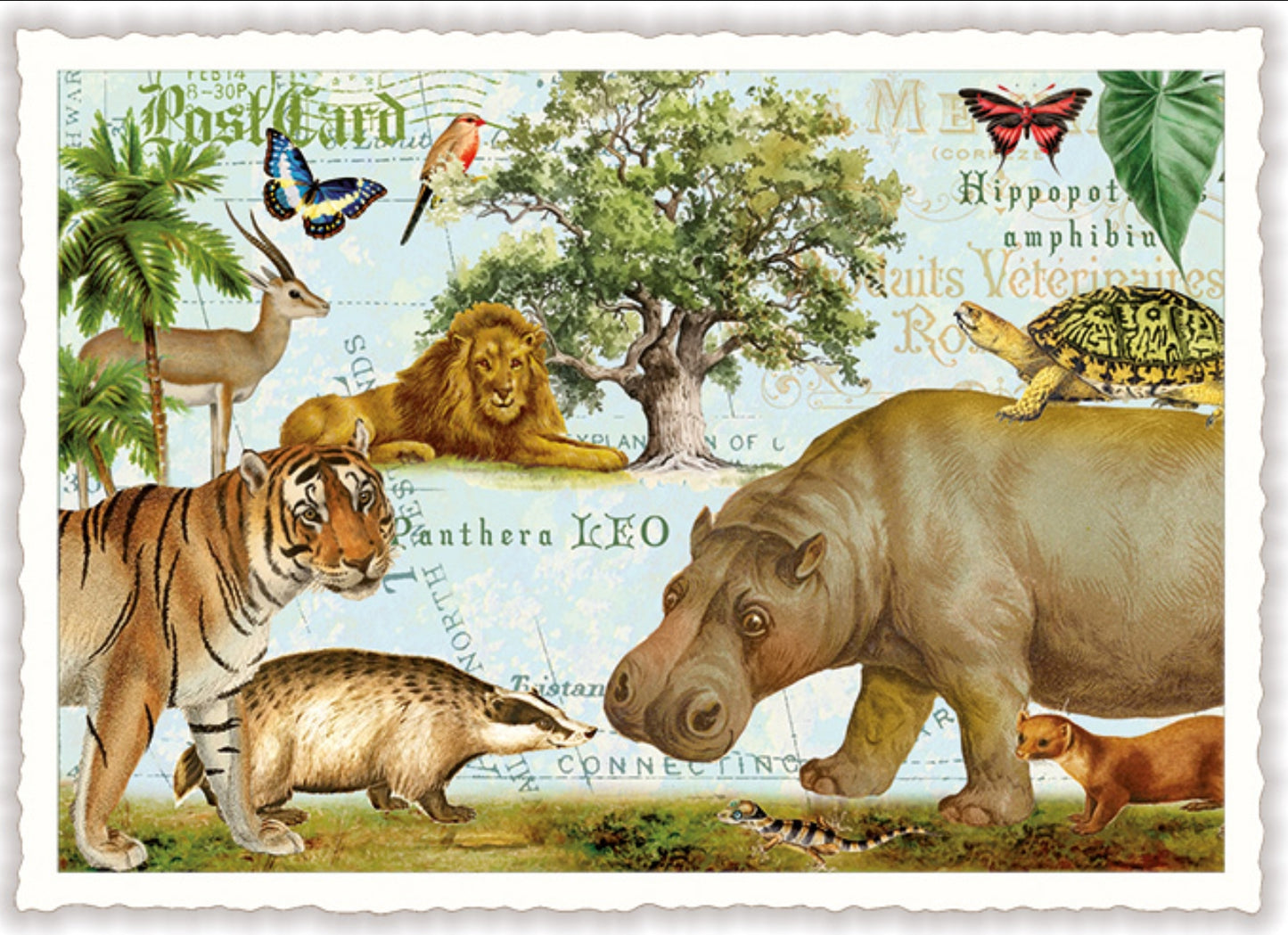 Hippo and Friends Postcard by Edition Tausendschön featuring an illustration of various animals like hippo, tiger, lion, turtle, badger and more.