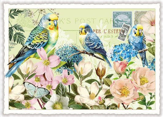 White Spring Postcard by Edition Tausendschön