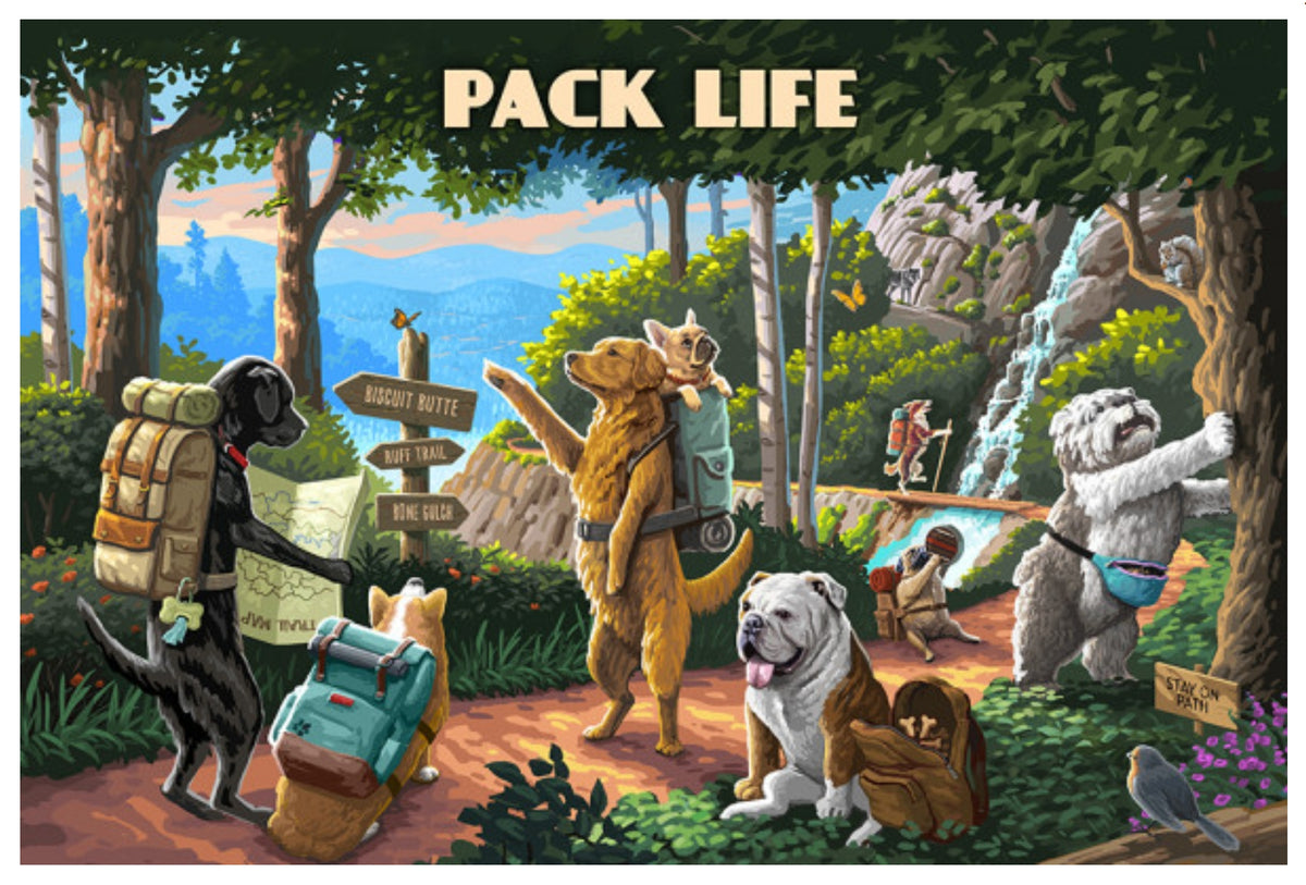 Pack Life - Hiking Dogs Postcard by Lantern Press featuring a colorful illustrated scene of several dogs hiking in a forest with backpacks, trail signs, trees, rocks, and a waterfall. Large text at the top reads 'PACK LIFE'.
