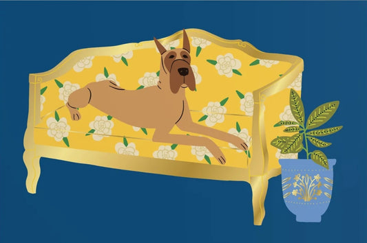 Pipsticks - Ultimutt Comfort - Dog - Couch - Postcard