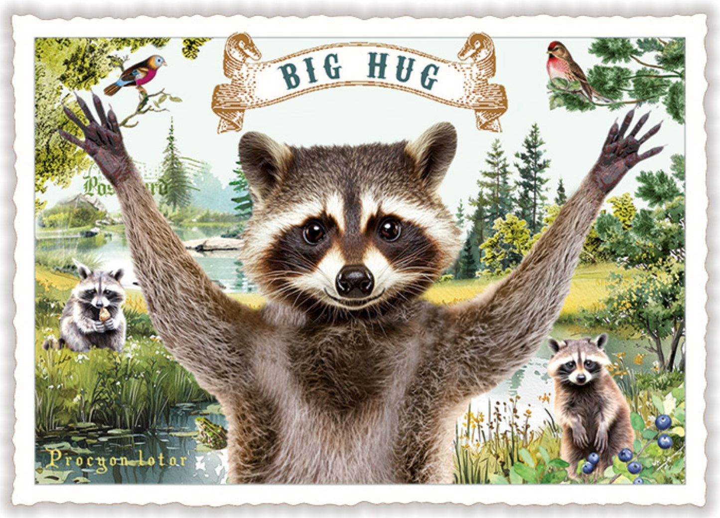Big Hug Raccoon Postcard by Edition Tausendschön featuring a raccoon giving a big hug with a scenic background and 'Big Hug' banner