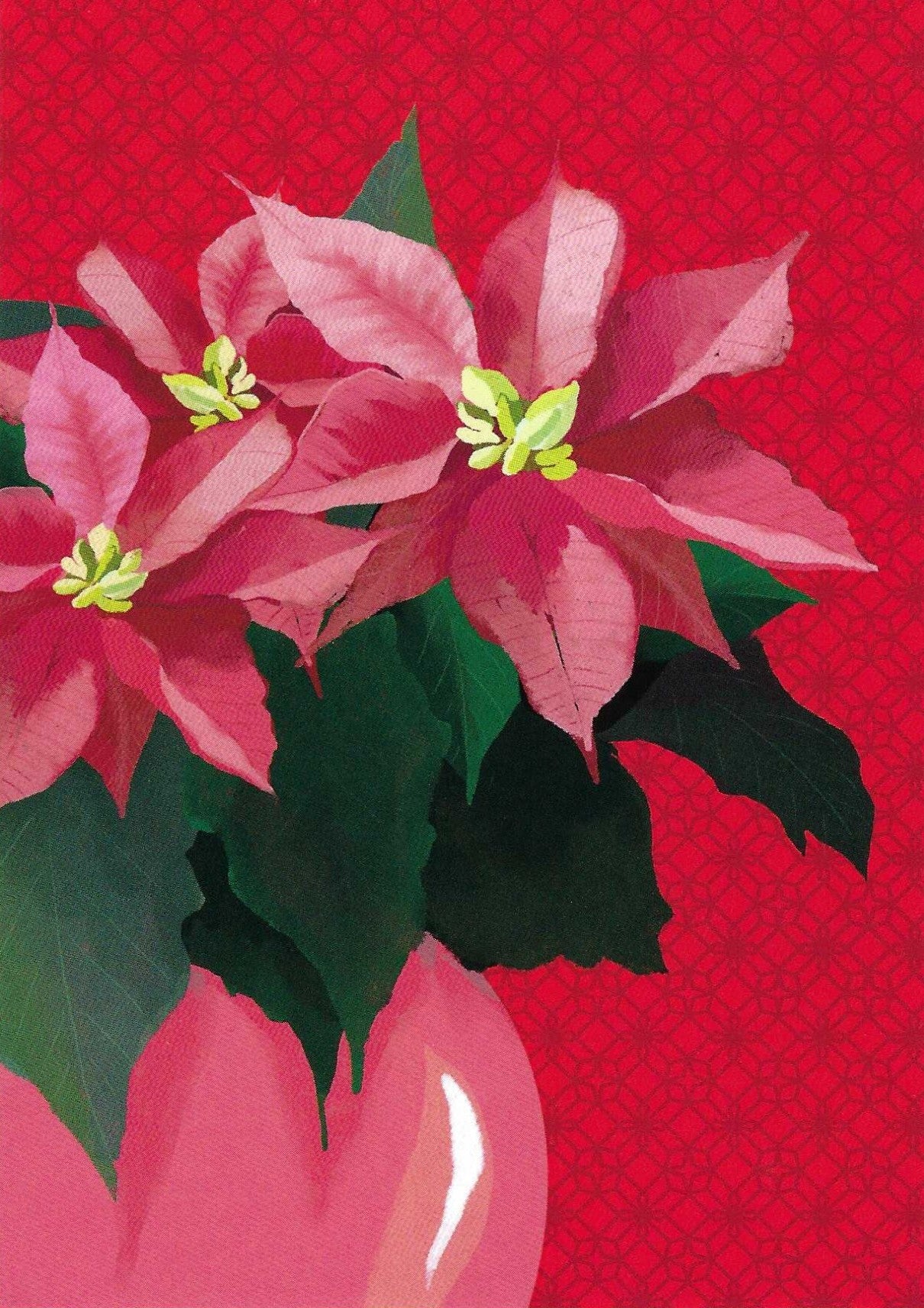 Poinsettia Postcard by Toni Starck for Nobis Design featuring a pink poinsettia with green leaves against a vivid red patterned background.