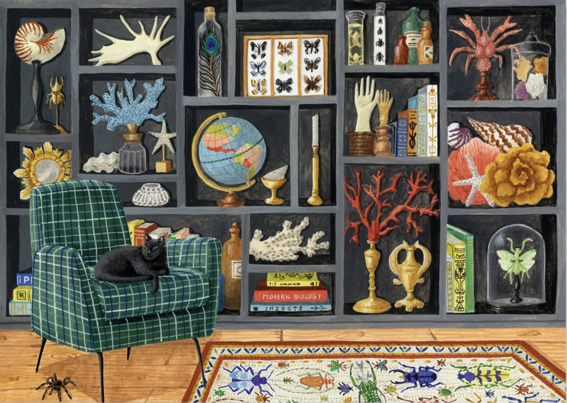 Black Cat and Curiosities Postcard by Mélanie Voituriez