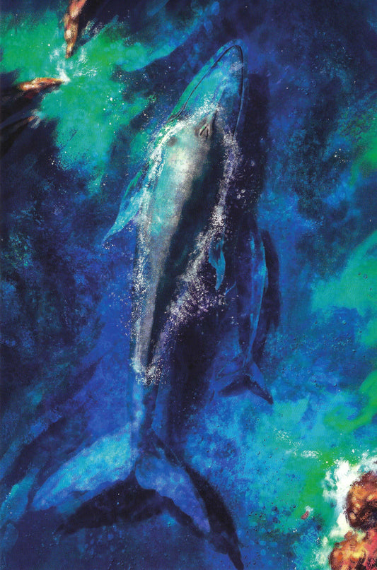 Postcardsee - Whales - Postcard